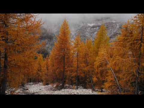 Dolomiti, Marmolada: larici d'autunno